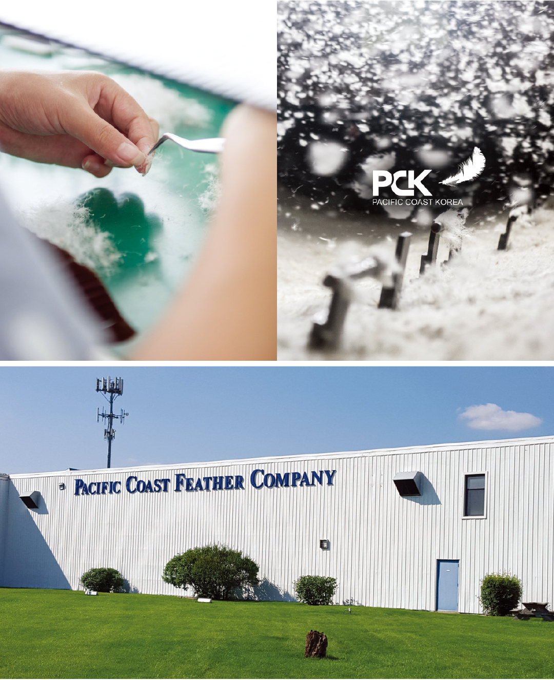 [2025 소재 북인북⑩] PCK, 100년 노하우 '다운 원스톱 솔루션'  620-Image